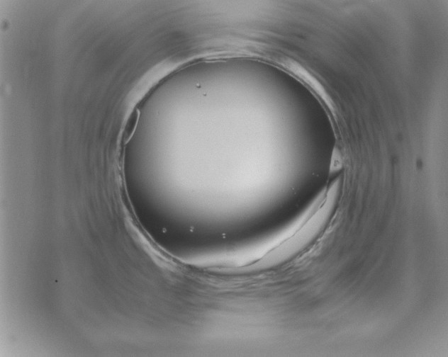 X0000070431485200606302114