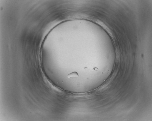 X0000070431486200606302114