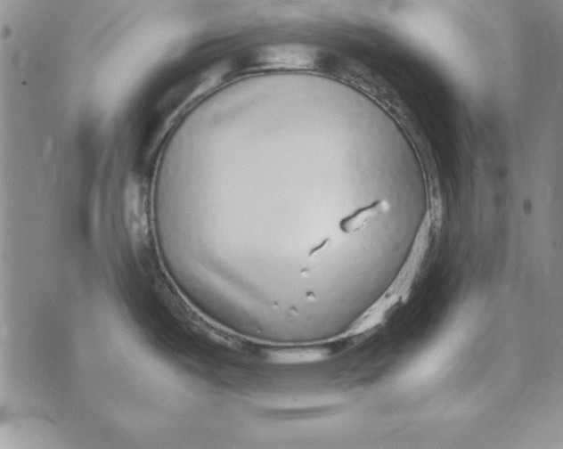 X0000070431487200606302114