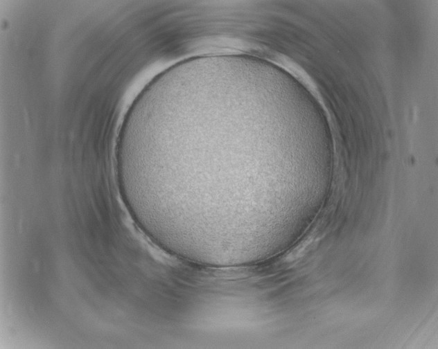 X0000070431488200606302114