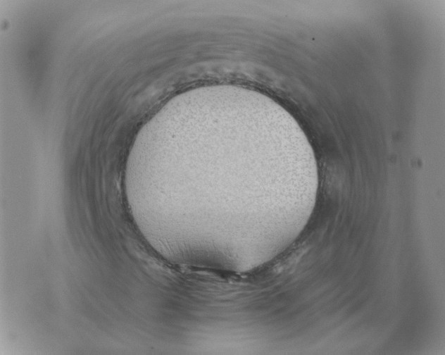 X0000070431489200606302113