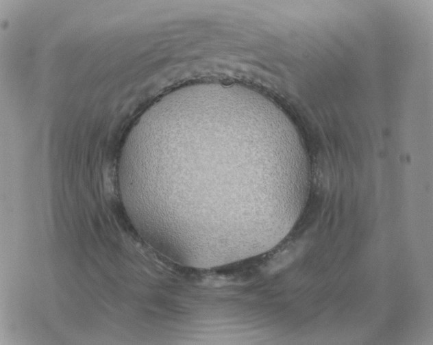 X0000070431490200606302113