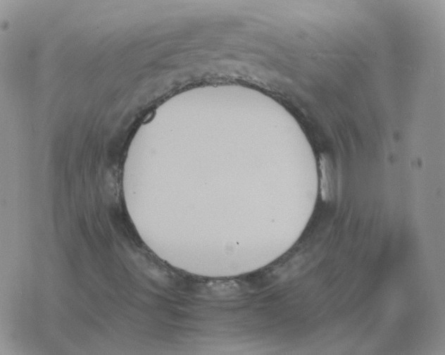 X0000070431491200606302113