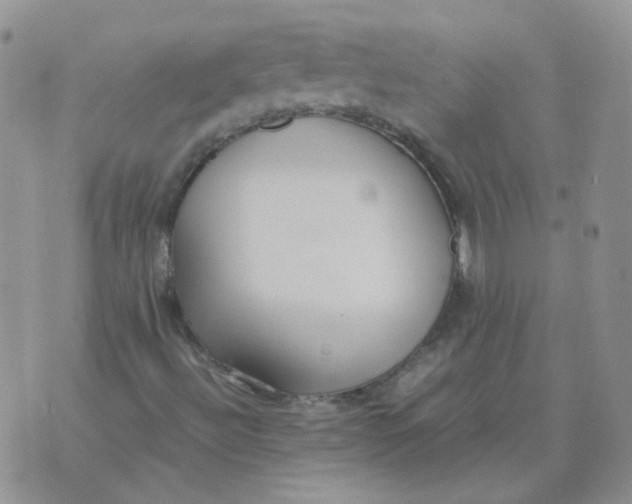 X0000070431492200606302113