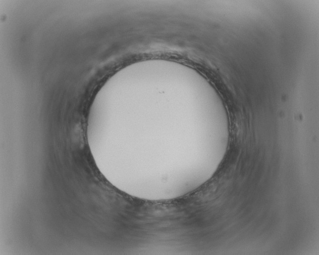 X0000070431493200606302113