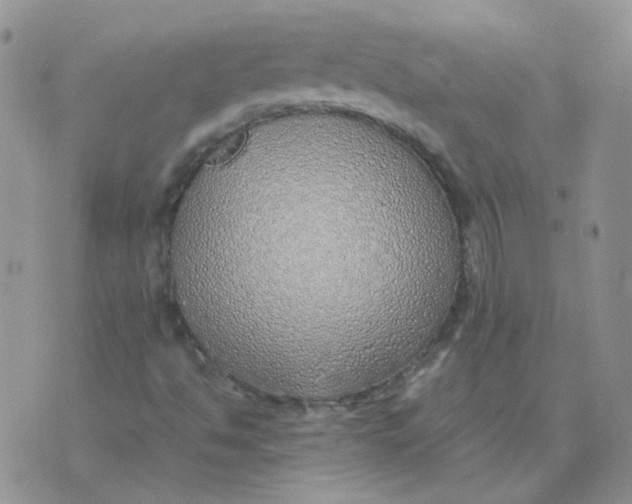 X0000070431494200606302113