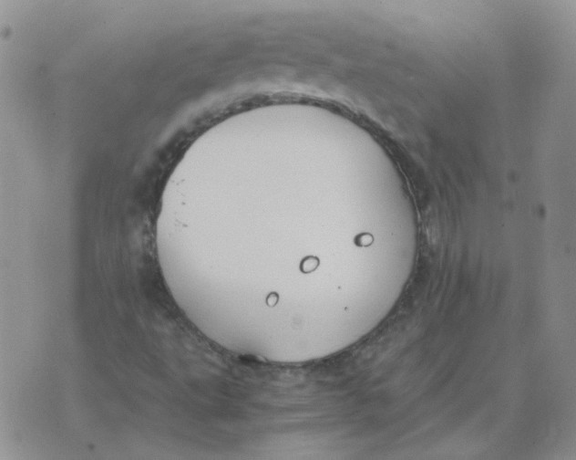 X0000070431495200606302113