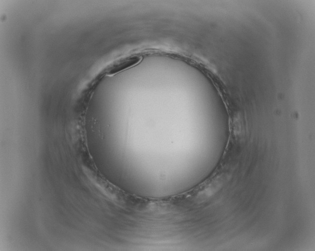 X0000070431496200606302113