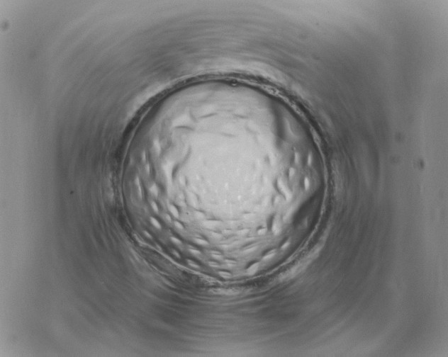 X0000070431497200606302113