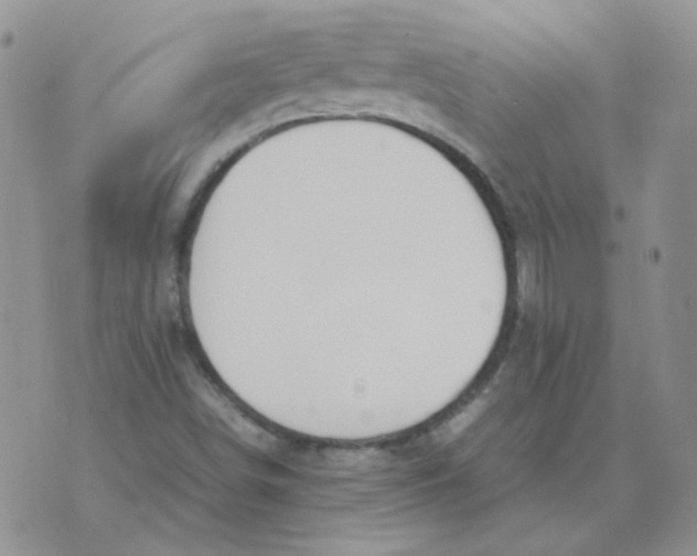 X0000070431498200606302113