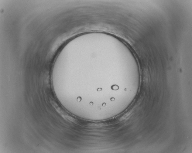 X0000070431499200606302113