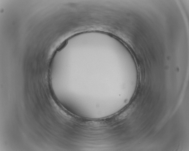 X0000070431500200606302113