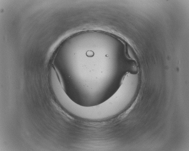 X0000070431502200606302113