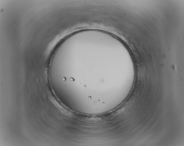 X0000070431503200606302113