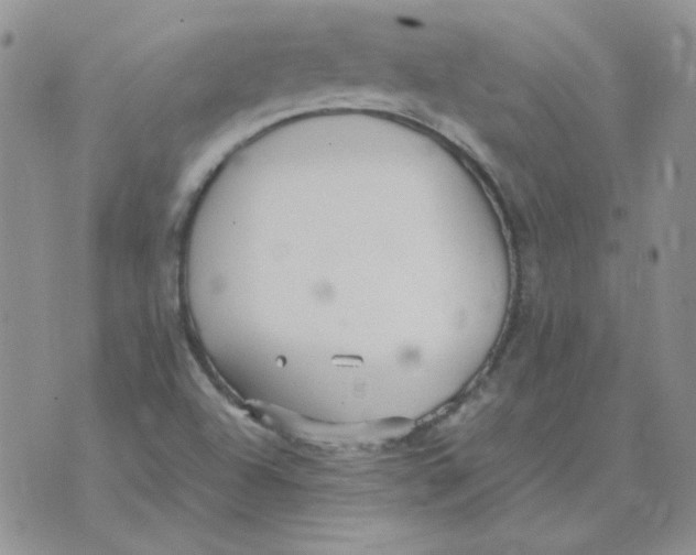 X0000070431504200606302113