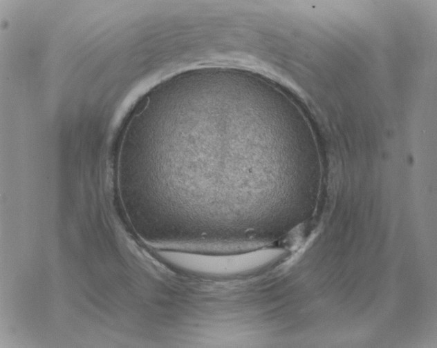 X0000070431506200606302113