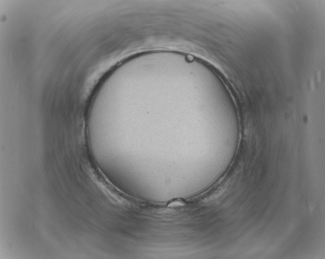 X0000070431507200606302113