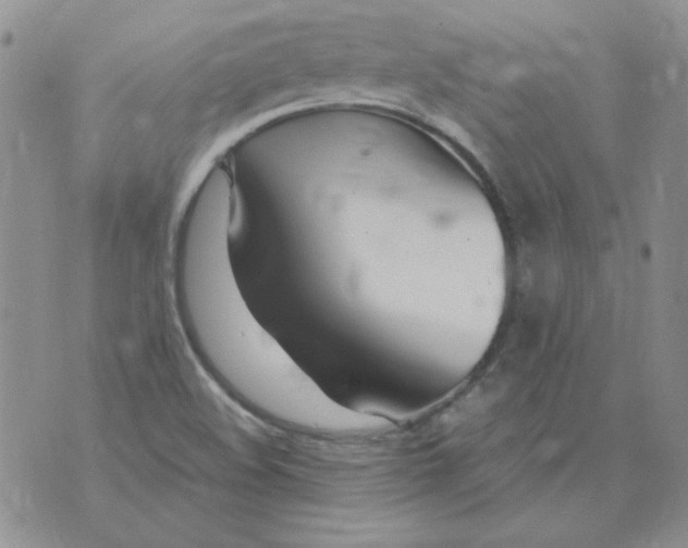 X0000070431508200606302113