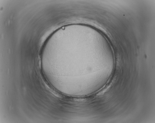 X0000070431509200606302113