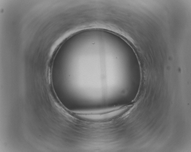 X0000070431510200606302113