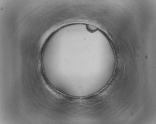 X0000070431511200606302113