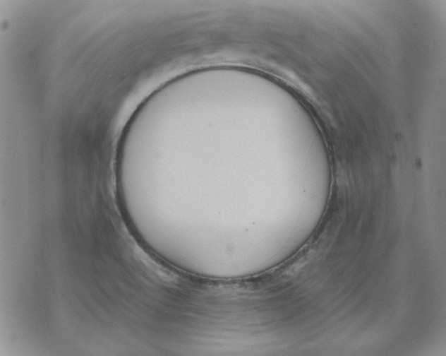 X0000070431512200606302113