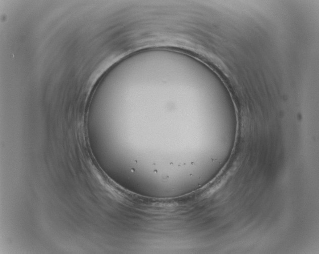 X0000070431513200606302113