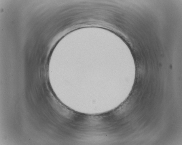 X0000070431514200606302113