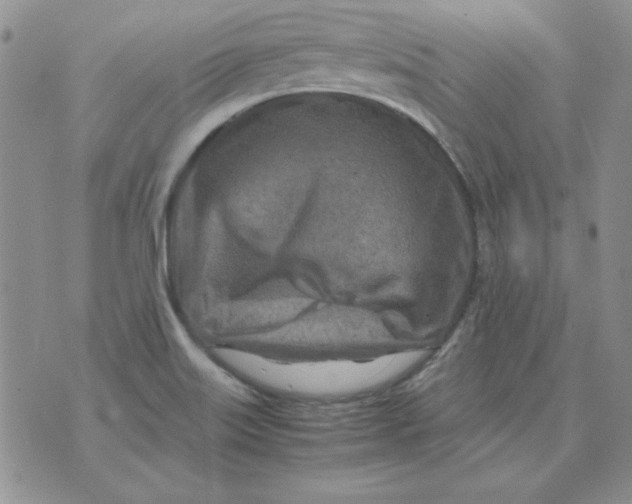 X0000070431515200606302113