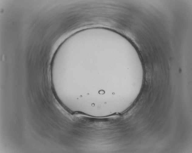 X0000070431516200606302113