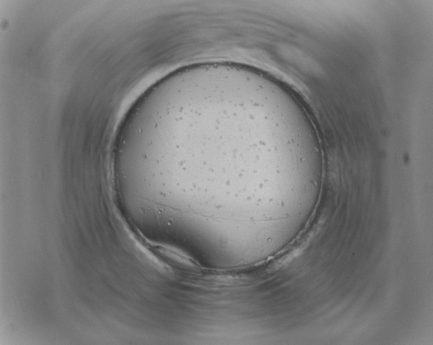 X0000070431517200606302113