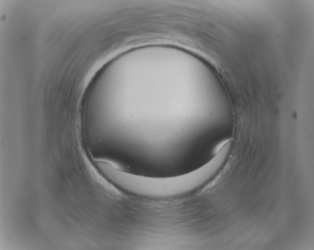 X0000070431518200606302113