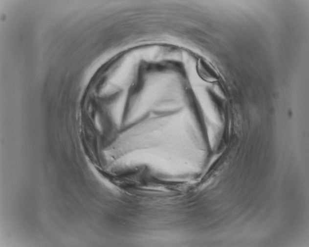 X0000070431519200606302113