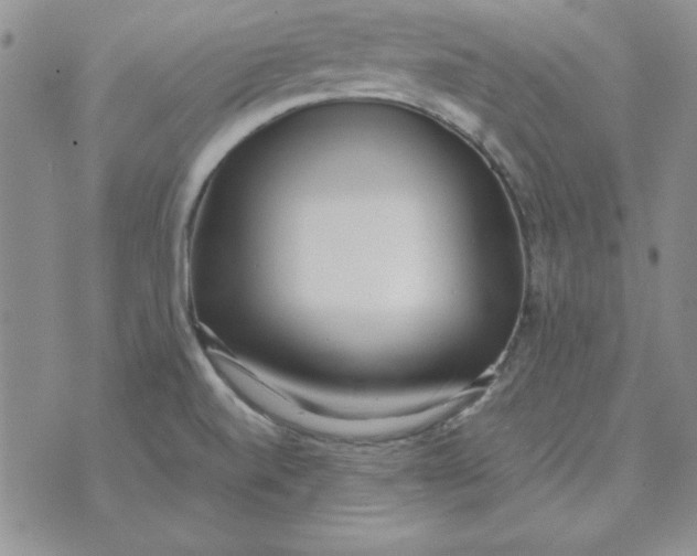 X0000070431520200606302113