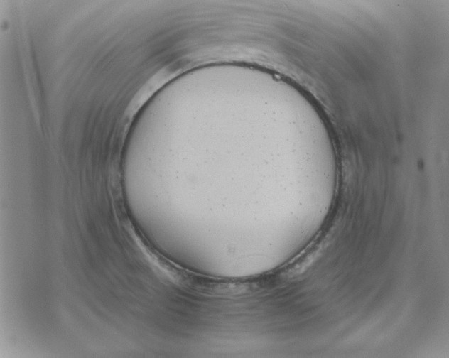 X0000070431521200606302113