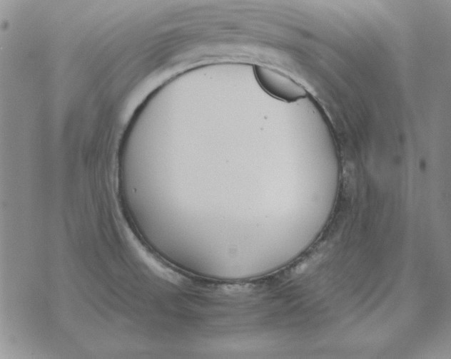 X0000070431523200606302113