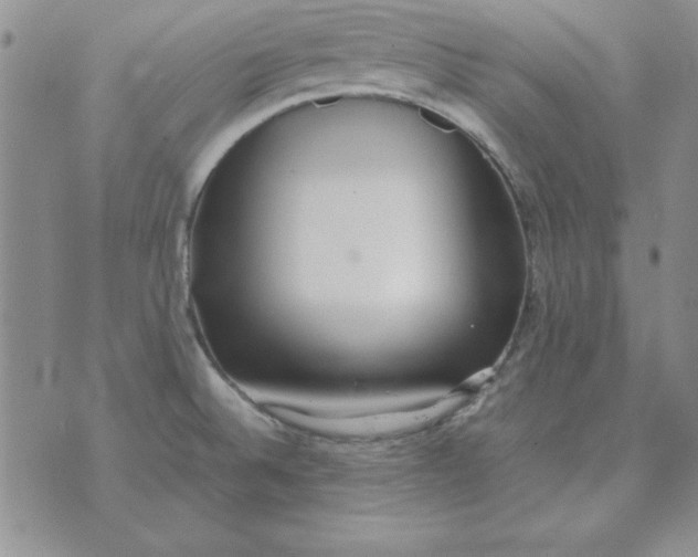 X0000070431524200606302113