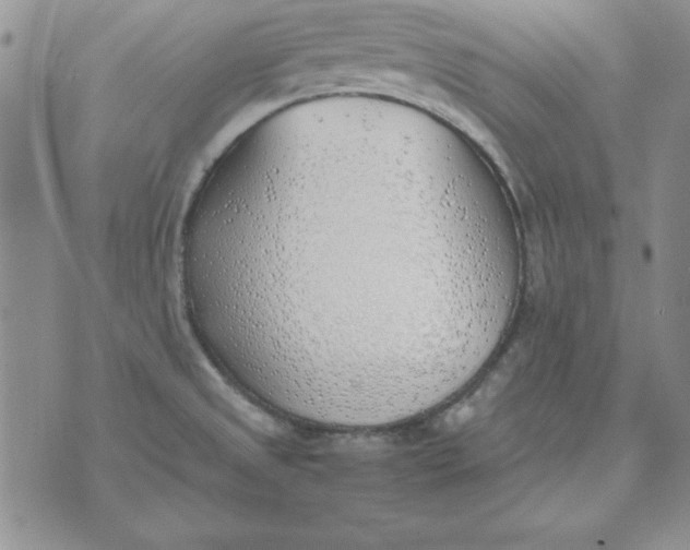 X0000070431525200606302113