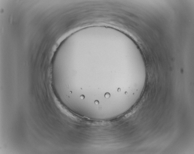 X0000070431526200606302113