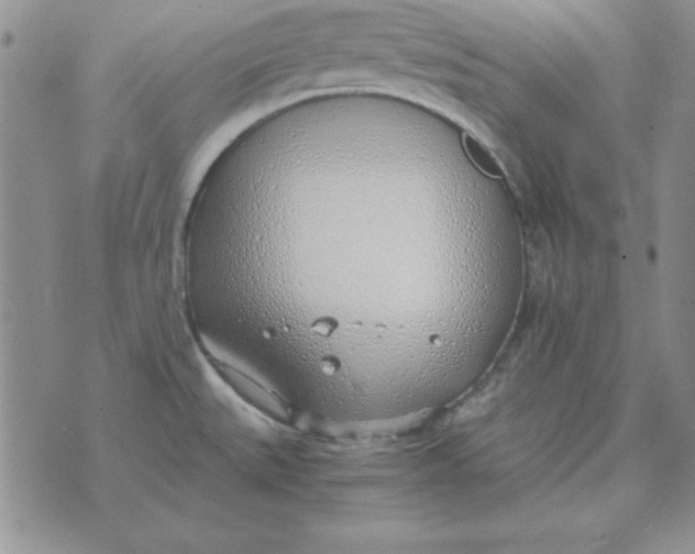 X0000070431527200606302113