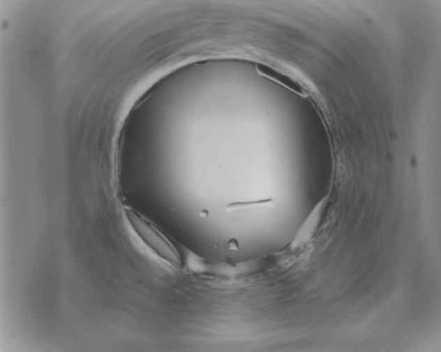 X0000070431528200606302113