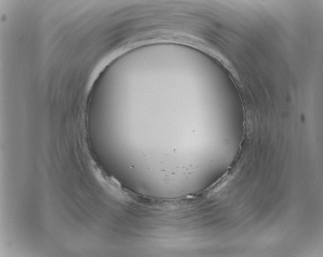 X0000070431530200606302113