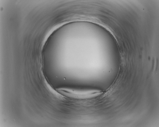 X0000070431531200606302113