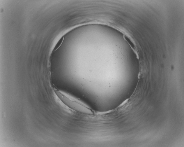 X0000070431532200606302113