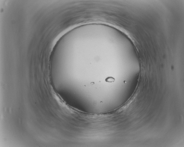 X0000070431534200606302113