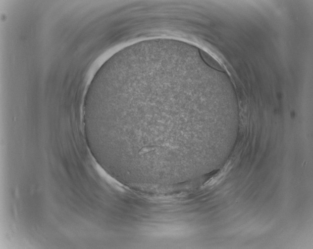 X0000070431535200606302113