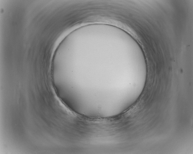 X0000070431536200606302113