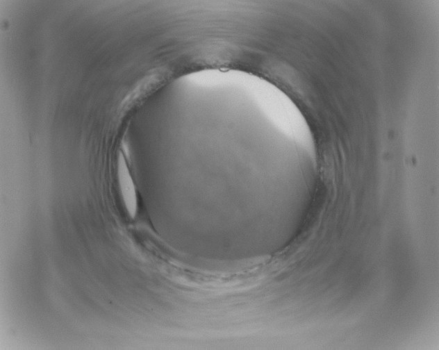 X0000070430023200607080010