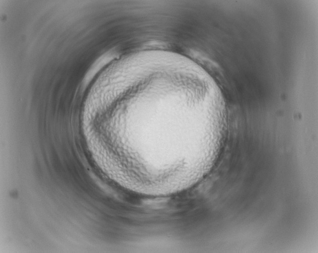X0000070430051200607080009
