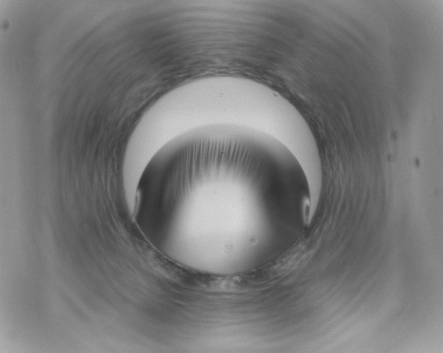 X0000070430080200607080010